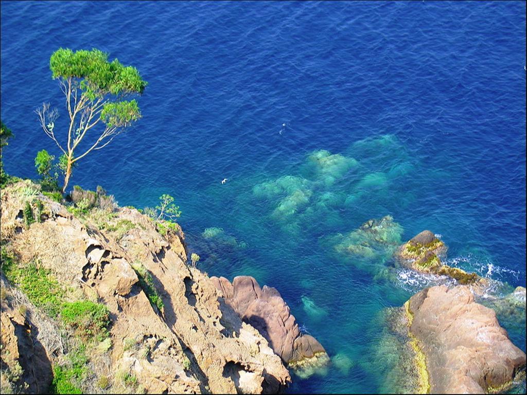 Vacanceole - Les Calanques Du Parc Frejus Bagian luar foto